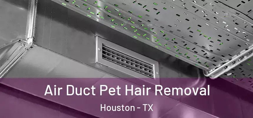 Air Duct Pet Hair Removal Houston - TX