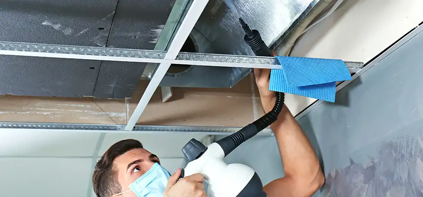 Our Air Duct Rodent Removal Services in Houston, TX