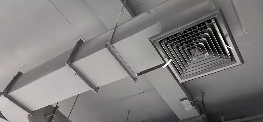 Restorative Allergy Relief Vent Cleaning – Coil, Blower & Housing Detail in Houston