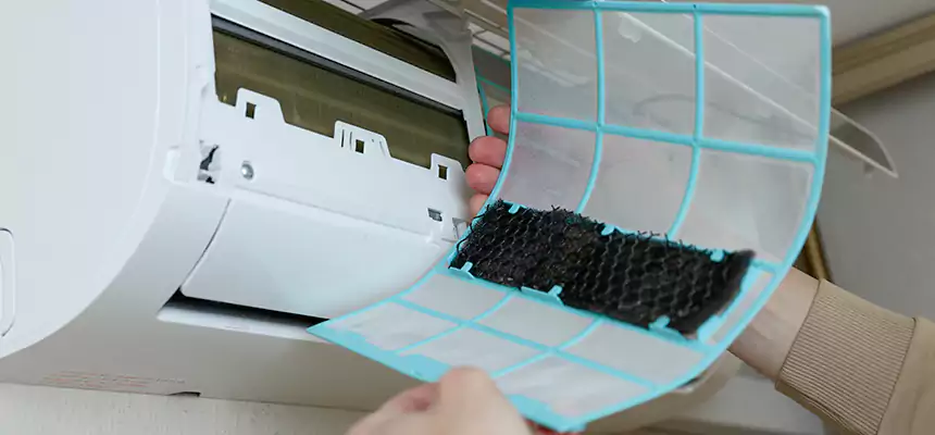 Gentle Ductwork Odor-Control Pet Dander Duct Cleaning in Houston, TX