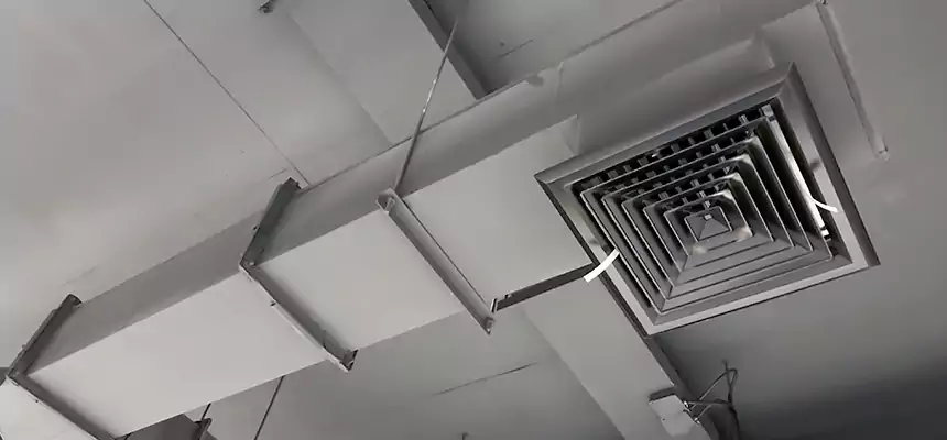 Our Rodent Droppings In Vents Services in Houston, TX