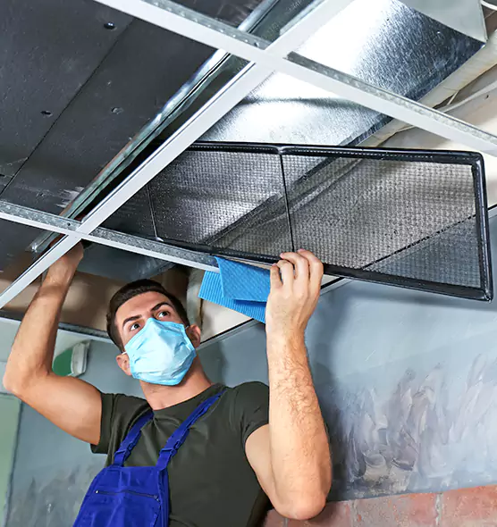About Air Duct Bacteria Removal in Houston