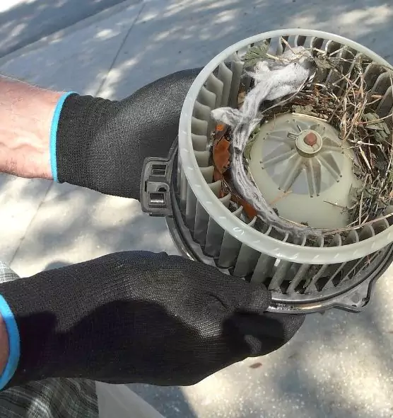 About Air Duct Rat Removal in Houston, TX