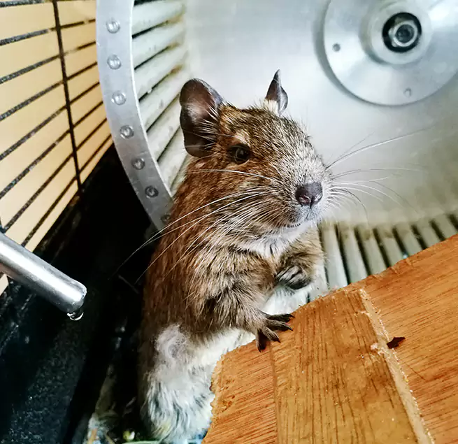 Why Homeowners & Businesses Trust Us Houston, TX