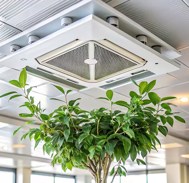 Why Homeowners & Businesses Trust Us in Houston, TX