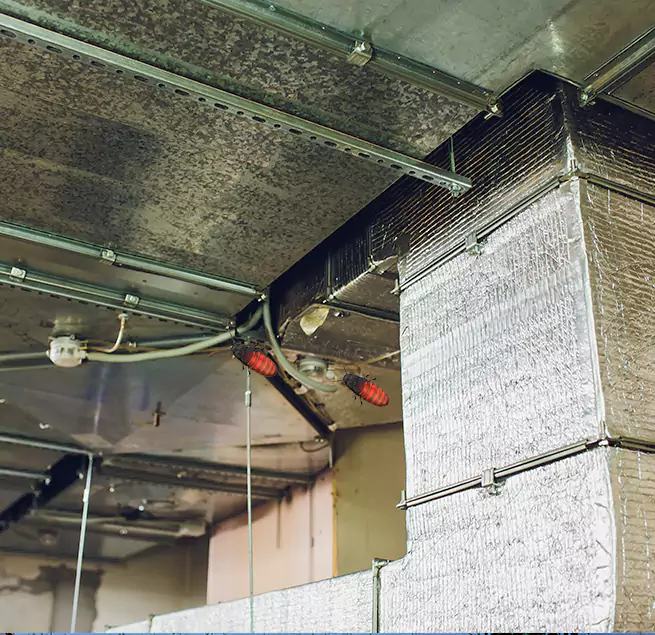 Why Homeowners & Businesses Trust Us Houston, TX?