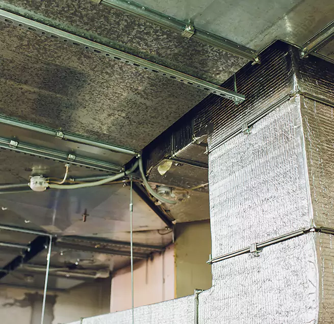 Why Homeowners & Businesses Trust Us in Houston, TX?