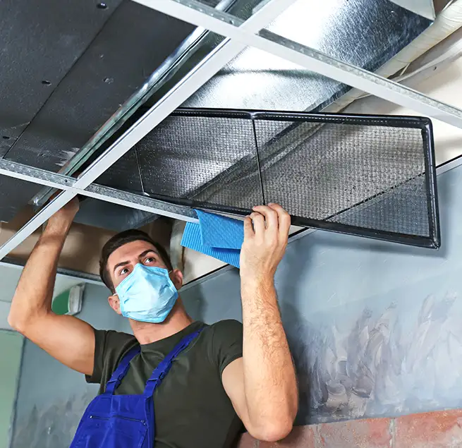 Why Homeowners & Businesses Trust Us in Houston, TX?