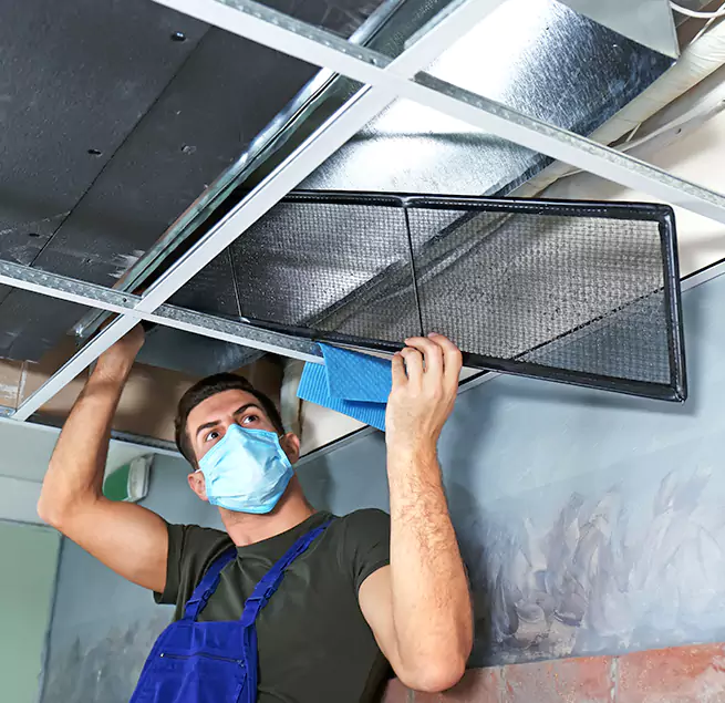 Why Homeowners Businesses Trust Us in Houston, TX?